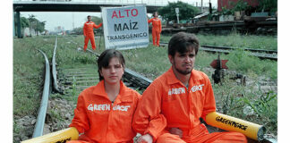 No ceder a presiones de Estados Unidos en materia de maíz transgénico: Greenpeace