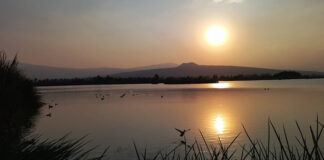 La alcaldía de Tláhuac formaliza a 30 cooperativas