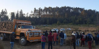 Comité comunitario denuncia tala ilegal en bosques de Ixtacamaxtitlán