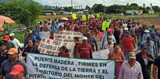 Puente Madera exige frenar acoso contra comunidad y defensores
