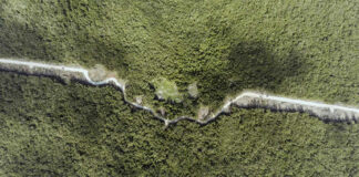 Fonatur no suspende obras del Tren Maya a pesar de mandato de un juez