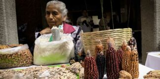 Mujeres condenan intimidación de EU a México por maíz transgénico