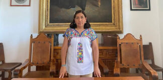 Las mujeres fortalecen la vida comunitaria: ex presidenta municipal de Guelatao