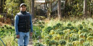 Publican convocatoria del Programa de Economía Social en la CDMX