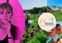 Mujeres de Jalisco, CDMX y Puebla producen en red y hacen otra economía