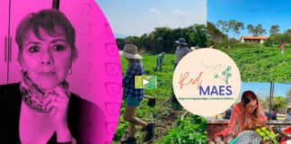 Mujeres de Jalisco, CDMX y Puebla producen en red y hacen otra economía