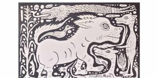 Perspectiva comunal de los aprendizajes