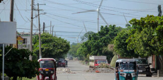 Juez ordena dejar sin efectos permisos de construcción de Parque Eólico en Unión Hidalgo