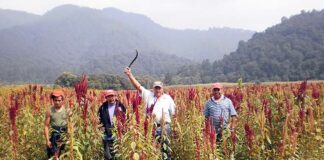 Asesinan a defensor del agua y agroecología, Álvaro Arvizu