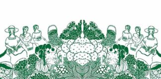 Miércoles de mercado agroecológico en el Huerto Roma Verde