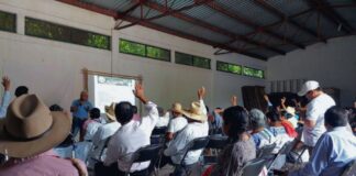 Pueblo masewal pide a Tribunal Electoral resolver en favor de la autonomía indígena