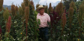 FGJEM fabrica montaje en el asesinato del ambientalista Álvaro Arvizú, acusan