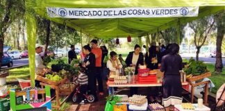 El mercado que germinó en las chinampas de Xochimilco cumple 8 años