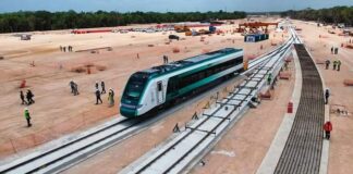 Tribunal de derechos de la naturaleza condena a México por Tren Maya