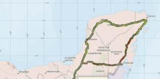 Tren Maya ha deforestado 6 mil 659 hectáreas de selva: CartoCrítica