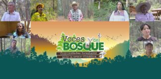Video reportaje de Voces del Bosque