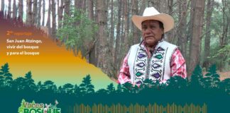 San Juan Atzingo, vivir del bosque y para el bosque #Reportaje