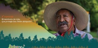 El territorio de vida que protege San Pedro Atlapulco #Reportaje