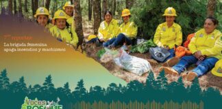 La brigada femenina apaga incendios y machismos #Reportaje