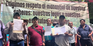 Comunidades y ejidos de Guerrero, acusan discriminación de dependencias agrarias