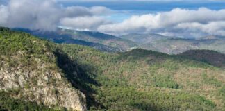 Gobierno de Oaxaca induce privatización de tierras colectivas: Francisco López Bárcenas