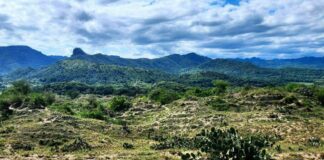 Inversionistas de Xalapa intentan despojar a defensores ambientales de Los Médanos