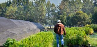 A 10 años de la creación del INAES