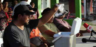 Denuncian segunda oleada de muerte masiva de abejas en Hopelchén