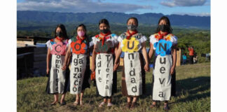 Mutilada la iniciativa de reforma para los Pueblos Indígenas: Francisco López Bárcenas