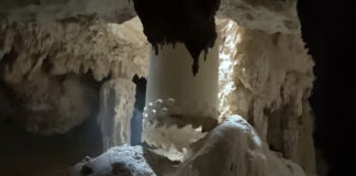 Juez ordena obedecer suspensión definitiva del Tramo 5 Sur del Tren Maya