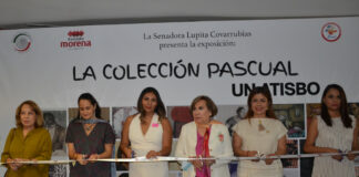 Senado de la República presenta “Un atisbo” del acervo Pascual