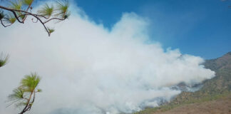 Asamblea chontal de Oaxaca exige ayuda para contener incendios forestales