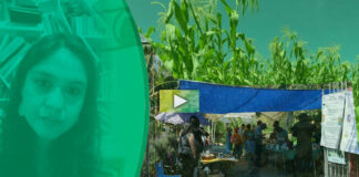 Agroecología y monedas comunitarias para consumir de otra manera