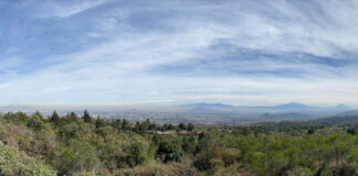 Zona chinampera en CDMX, fundamental en biodiversidad y alimentación