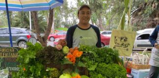 Tianquiskilitl, el mercado de las cosas verdes cumple 9 añotes