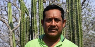 Defensor David Hernández de Puente Madera, Oaxaca, es absuelto