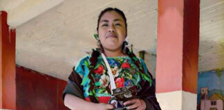 Defensora de bosques y lagos purépechas fue detenida el Día Mundial del Medio Ambiente