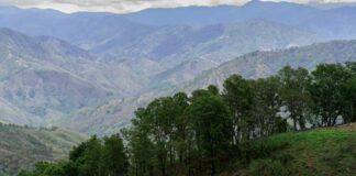 Tema ambiental debe ser prioridad para presidencia de Claudia Sheinbaum: CEMDA