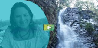 Defender el Bosque de Agua con educación ambiental