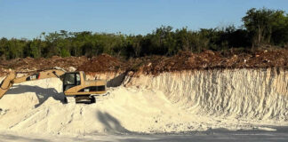 Deforestan 6 mil hectáreas más de selva por tramos 5, 6 y 7 de Tren Maya