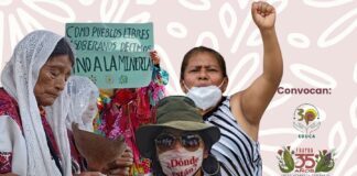 Organizaciones convocan a foro contra criminalización de la defensa del territorio