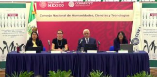 Confirman presencia de maíz transgénico para consumo humano en México