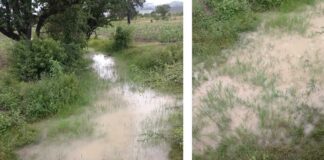 Derrame en Minera Cuzcatlán afecta de nuevo al Río Coyote en Oaxaca