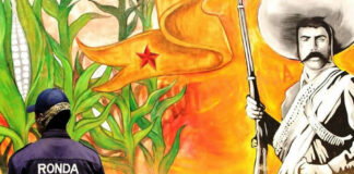 Entregan armamento oficial a rondas comunitarias de Michoacán