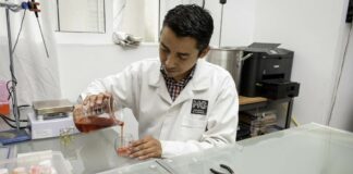 Visibilizar a las micro y pequeñas cooperativas en México