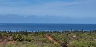 Más de 250 desplazados en El Coire, comunidad nahua de Michoacán