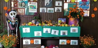 En seis años, 225 personas defensoras fueron asesinadas en México: Educa