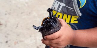 Derrame de hidrocarburos en Papantla cumple 48 días