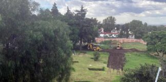Proyecto inmobiliario Fuentes Brotantes 134, tala 300 árboles en Tlalpan