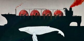 Piden a Sheinbaum frenar Saguaro Energía, “mayor amenaza climática” en México